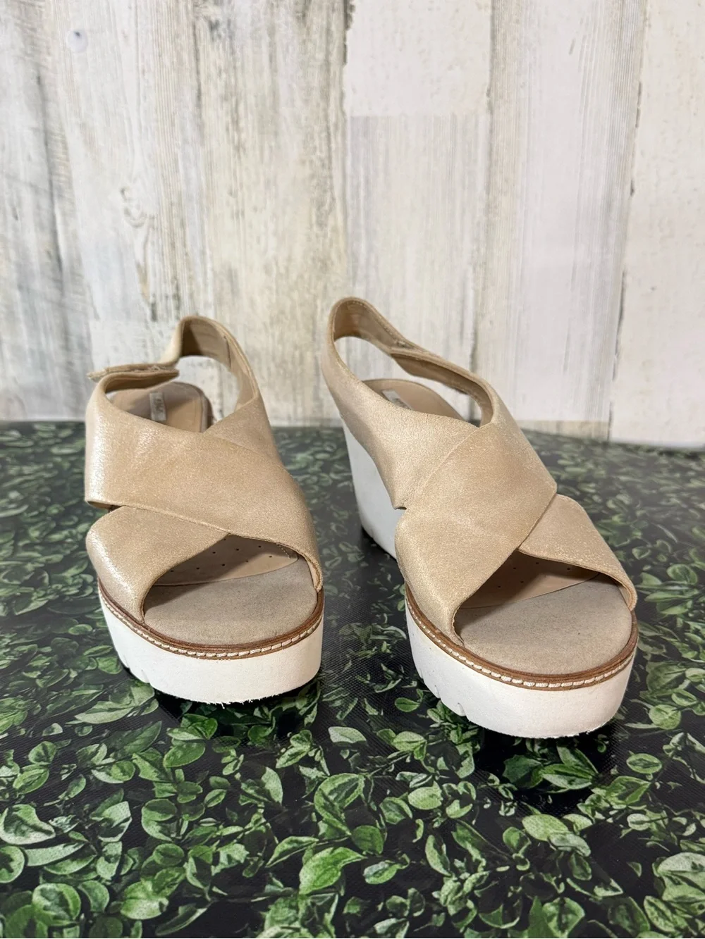 geox women